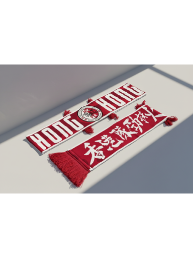 香港隊勁揪頸巾
