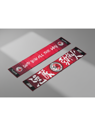 港隊勁揪打氣毛巾